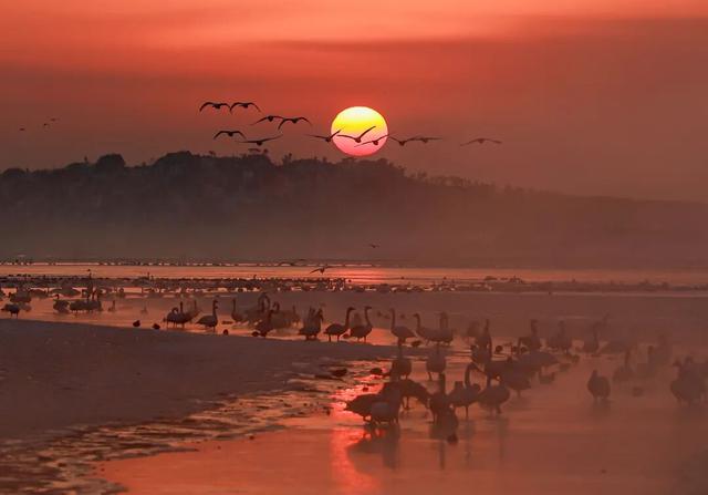 乘着高铁游威海 | 下一站，荣成！