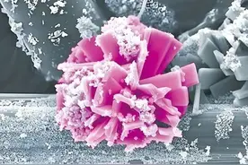 高性能高分子材料体系自立自强发展战略研究丨中国工程科学图片