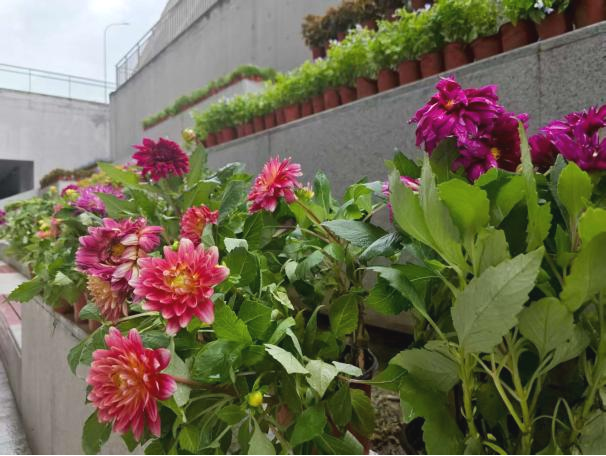 月满京城，站站生花！“七站两场”中秋打卡指南来了！