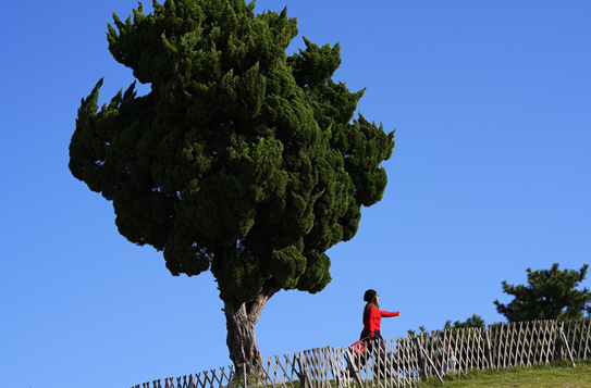这个秋天，青岛用城市风景发来一封浪漫邀约