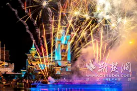 奇幻烟花 点亮2025图片