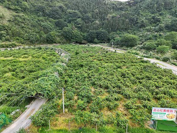 过年去哪玩？湖南永州这条线路获全国推介