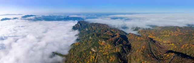 迎来客流小高峰！四川旺苍米仓山红叶迎来最佳观赏期