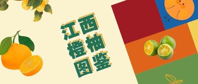 原来冬日里的江西，也会“花开成海”！
