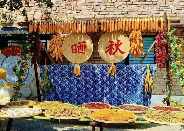洛阳8天，根本不够玩！