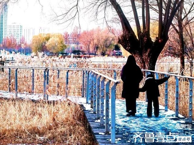 她的背影，是我一生的港湾