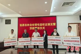 林业经营收益权制度在广东落地 首批权证发放图片