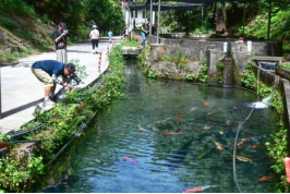 月满华诞，山水同欢 | 漓江福地 · 古韵灵川邀您共赴金秋之约