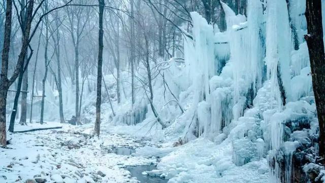 免费申领！白云山冰雪仙境邀您花式玩儿雪！