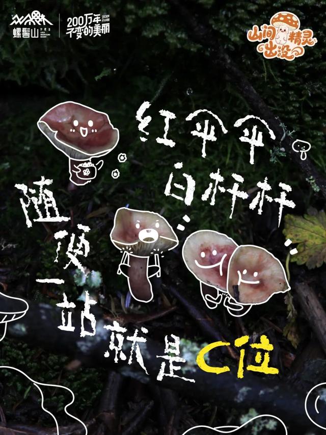 游玩攻略 | 山间精灵出没！快来螺髻山开盲盒