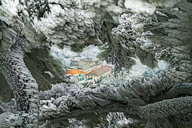 黄山冬雪预测手册，快收藏！