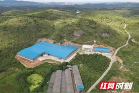 只此青绿！环保有机肥市场新添央企品牌领军新秀图片