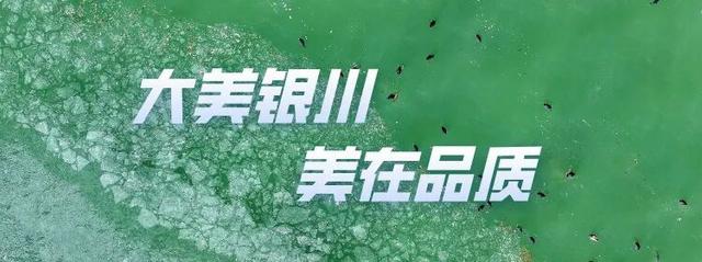 欢迎二刷 || 双节长假银川有多香？众多外地游客实名安利！
