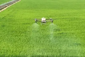 新时代中国调研行之看区域·东北篇｜东北全面振兴观察：技术赋能 当好粮食安全“压舱石”图片