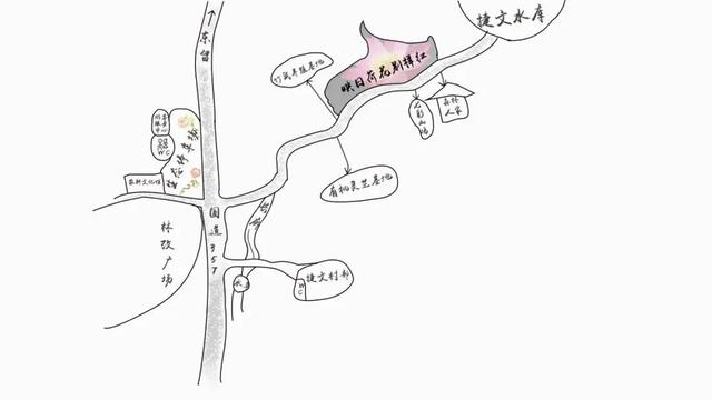 已达盛放期！约上亲友“荷”你一起游武平~