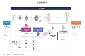 国内首个干细胞疗法获批上市，还有哪些药企在布局？进展如何？图片