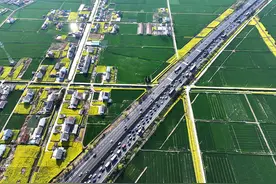 出游新纪录！清明假期新场景带火新消费图片