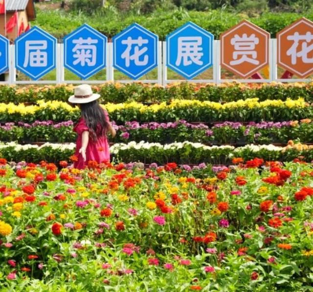 冲吖！国庆假期过半，九江这份四日游攻略刚好