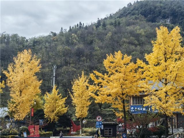 【万里边疆国旗红】行走黔北红色地标 追寻长征印记