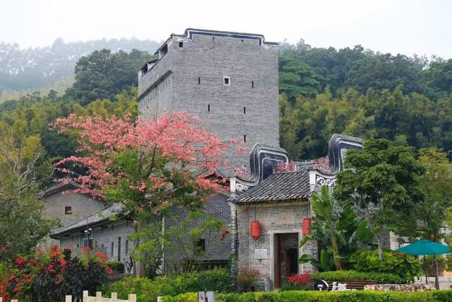 跟着村歌游增城！这个深秋，天籁乡音开启美好荔乡之旅