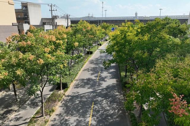 快抬头！秋日限定“天花板”上线啦