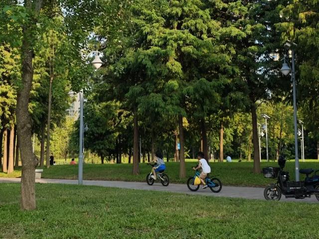 11月的清城，有大动作→