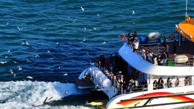 活动预告 | 精彩在奥帆，活动早知道！