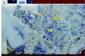 西藏甲玛发现新矿物——菊兴铜矿图片