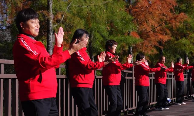栈道穿红杉，候鸟掠湖面！大理这片湿地美成初冬油画