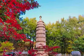 有一种叫云南的生活｜昆明秋日专属浪漫！黑龙潭公园的枫叶红了图片