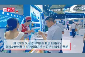 牛奶与啤酒组“CP”，奶牛也有“健康管理师”！这场奶业展好喝又好玩图片