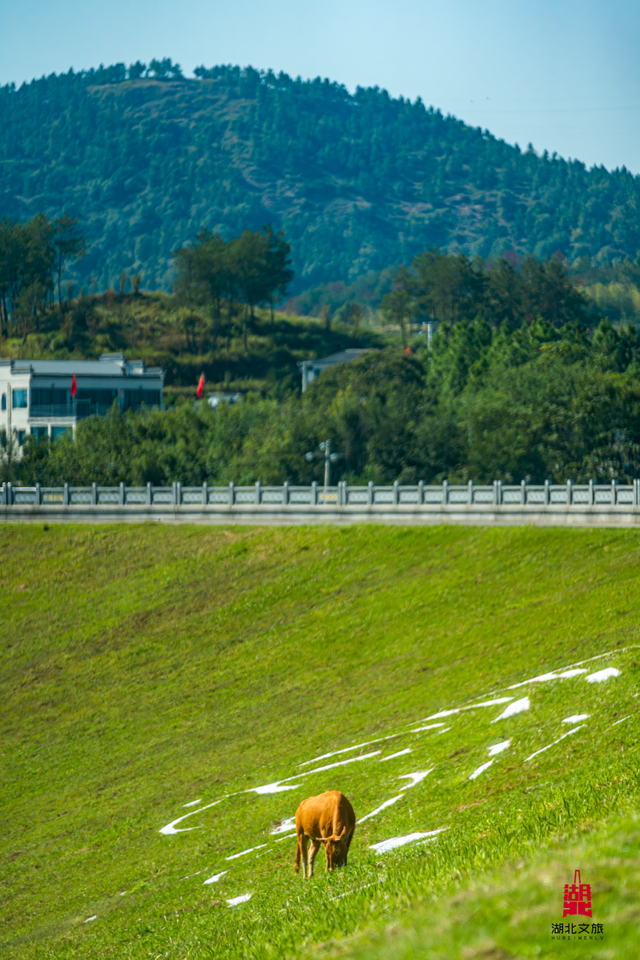 想追风，去团风！