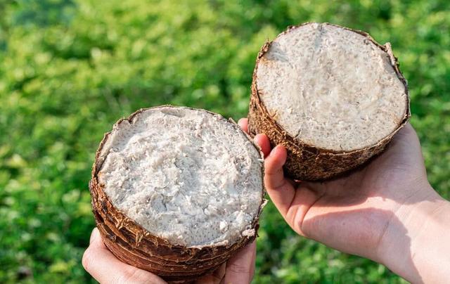 李思思也来打卡了！这座宝藏小城凭一口“糯叽叽”征服全网