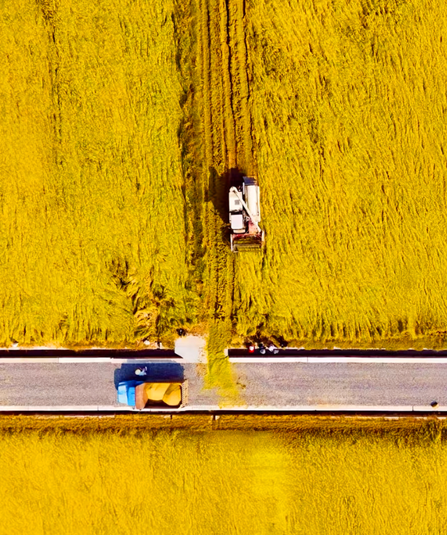 丰收宴、打糍粑 、85折券逛吃...长沙县首届徒步健身走报名启动→