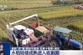 秋月梨、软籽石榴成熟啦！来看甜蜜秋收季→图片