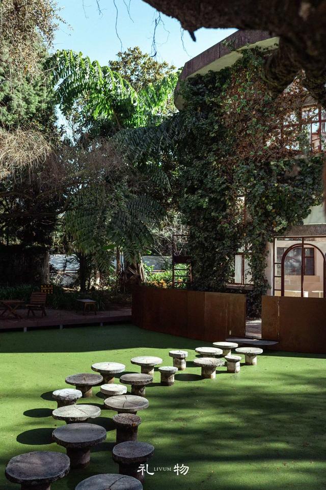 千株茶花映铜殿 来金殿解锁新春赏花新体验