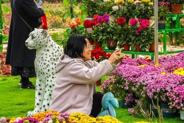 西宁哪里的秋景最好看？