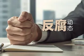 三亚市人大常委会原党组成员、副主任林有炽被“双开”图片