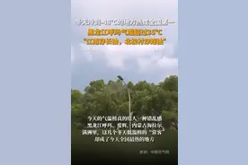 冬天冷到-48℃的地方热成全国第一：黑龙江呼玛气温超35℃，啥情况？图片