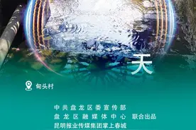倒计时8天！去“滇南名胜”黑龙潭，赴一场与花的约会图片