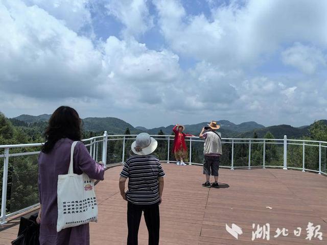 巴东：绿葱坡头风送爽 灯盏窝畔清凉长