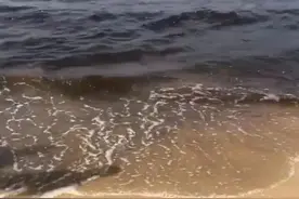 “衣服被海水泡后有变色”！辽宁一海域海水变黑，当地回应图片