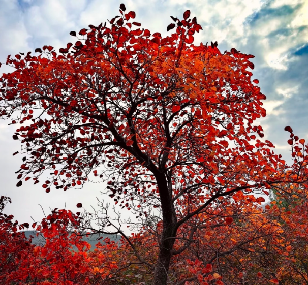 人少！景美！郑州周边9个超适合徒步爬山的好去处→