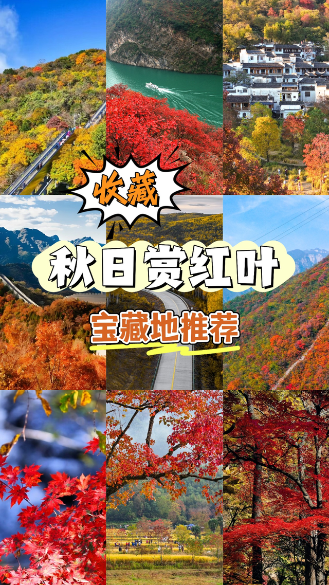 你拍的红叶总“差点意思”？问题可能出在第一步！