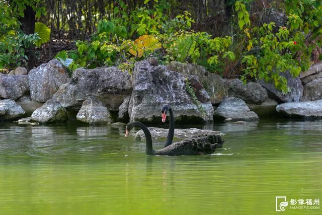 没想到，冬日的黎明湖公园这么美！
