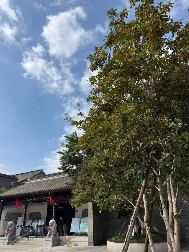 这声“对不起”，泰州人等了半个月！