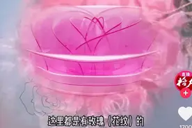 董明珠，过时了？图片