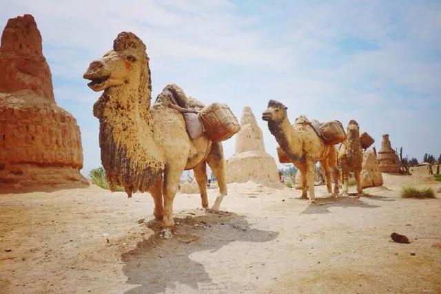 这不是享受，而是一场朝圣与探险。