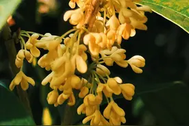 写点生活｜护工的吻图片