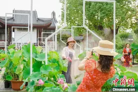湖北武汉：游人络绎游沙湖 千年楚韵染荷香图片